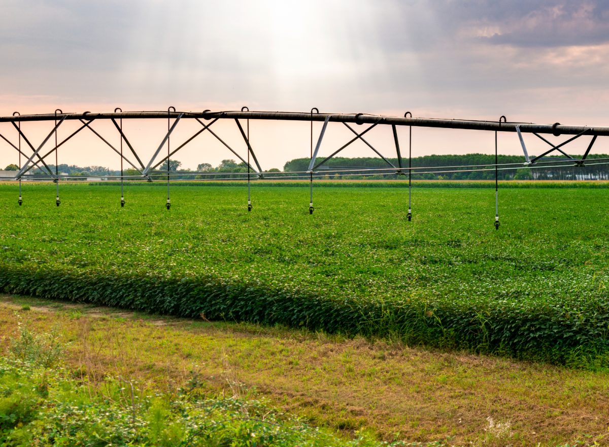 Agriculture irrigation field